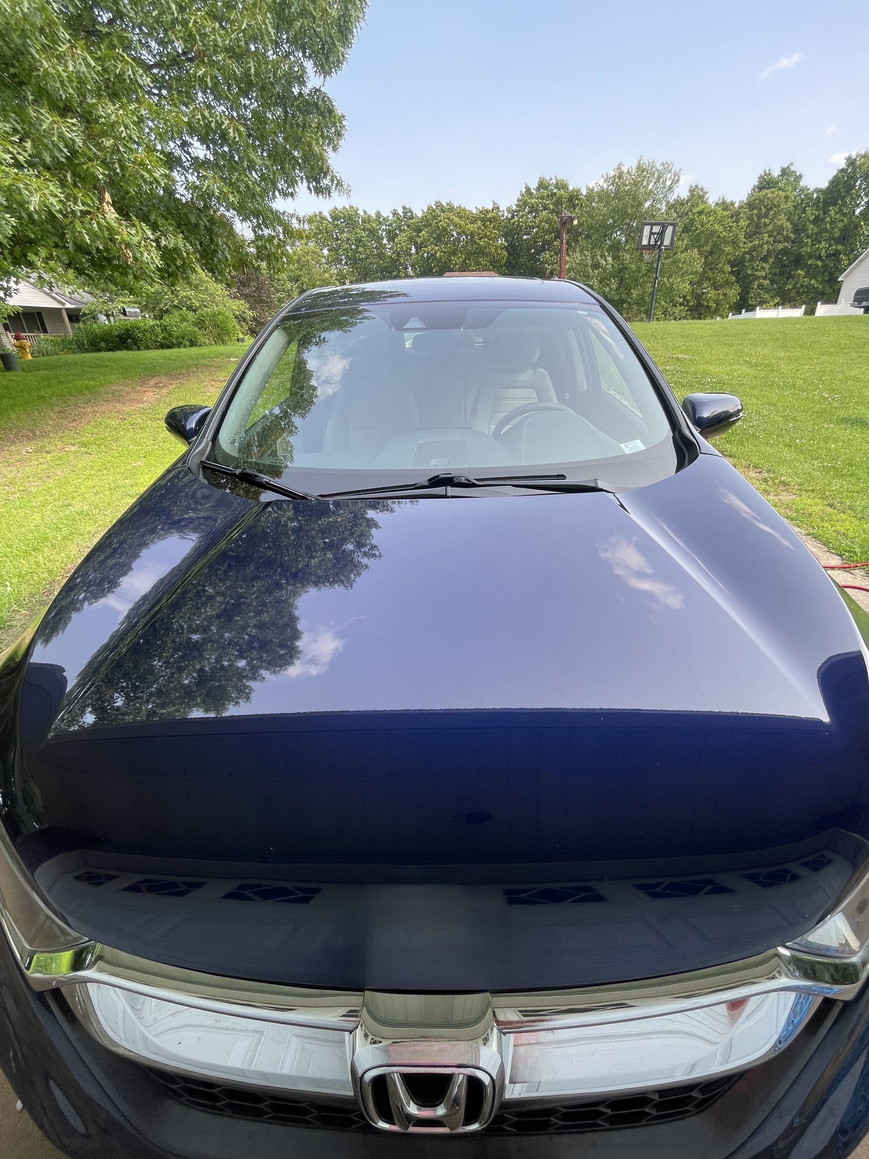 Hood after detailing