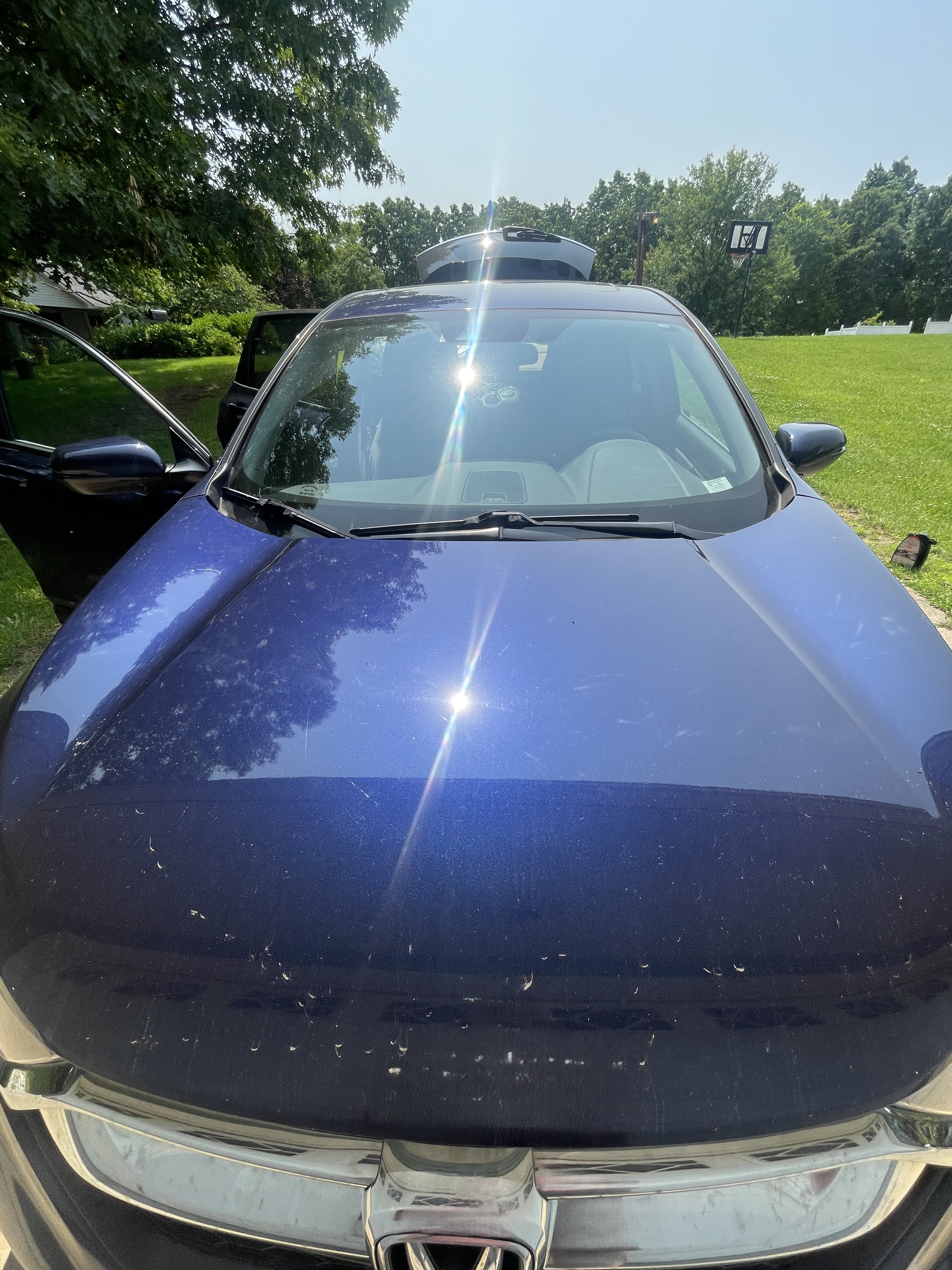 Hood before detailing